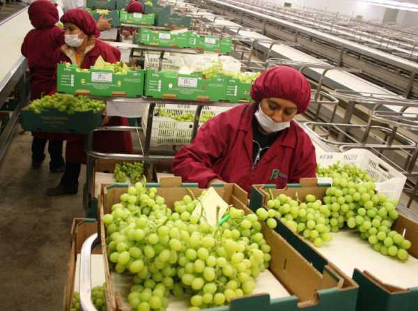 La agroexportación  imparable