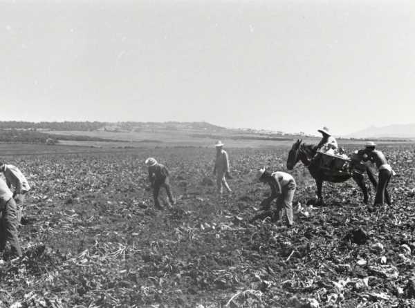 La Reforma Agraria