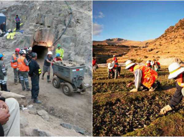 Constancia en la mira de los antimineros