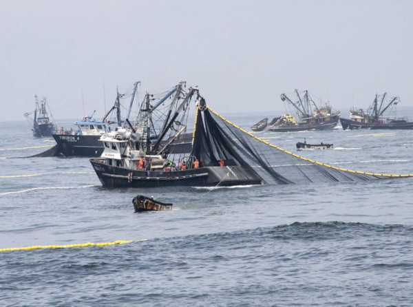 El ecologismo radical contra la pesca