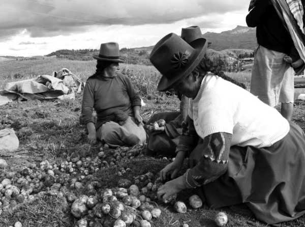 AGUA: DE LA ESCASEZ A LA ABUNDANCIA