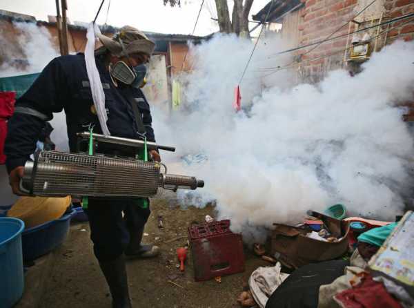 La política menuda y el dengue