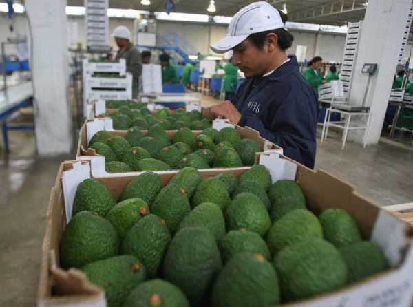 ¡Agroexportación continúa su camino ascendente!