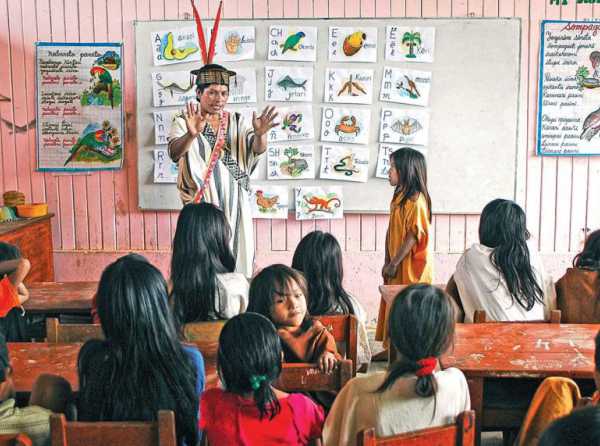 Educación en tiempos de furia