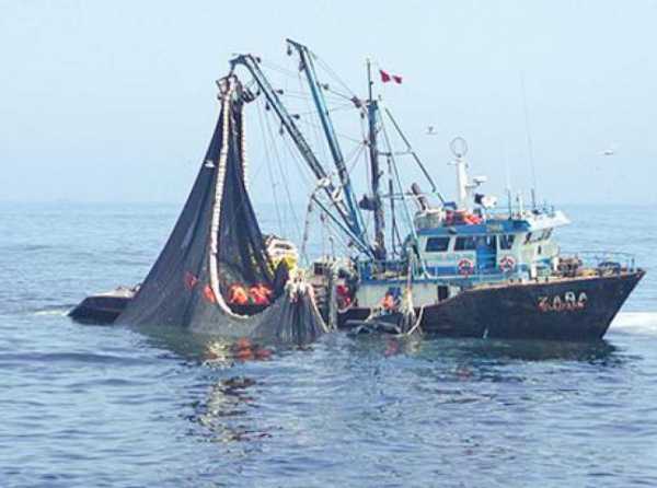 Pesca: giro positivo, pero...