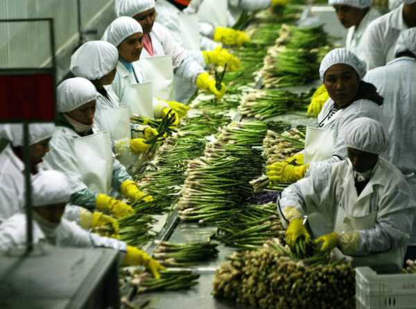 ¡La agroexportación es vital para la economía nacional!