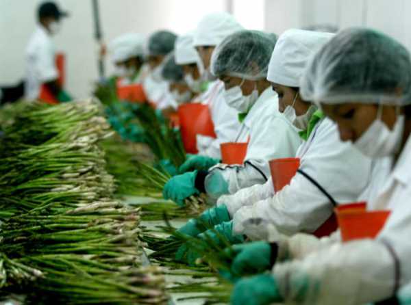 ¡La urgente reforma laboral!