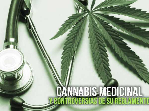 Cannabis medicinal y controversias de su reglamento