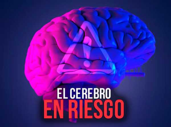 El cerebro en riesgo