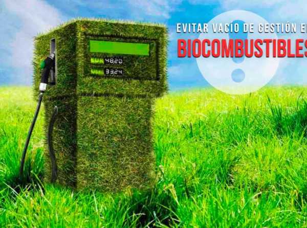 Evitar vacío de gestión en biocombustibles