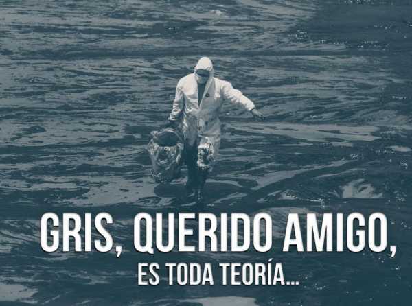 Gris, querido amigo, es toda teoría…