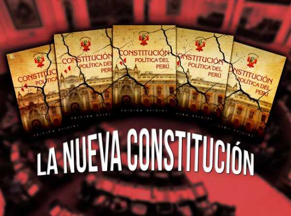 La nueva constitución