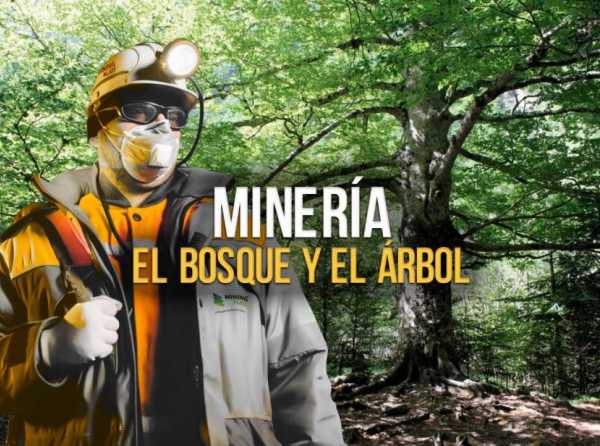 Minería: el bosque y el árbol