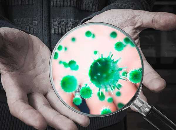 Conviviendo entre bacterias y virus