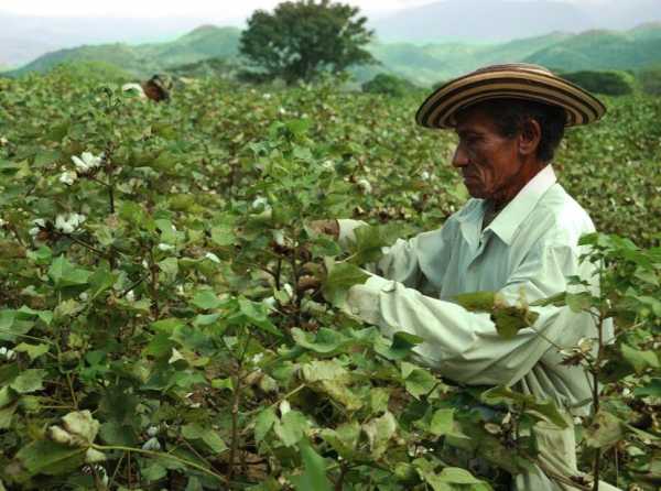 De Soto, los agricultores, la propiedad y La Convención