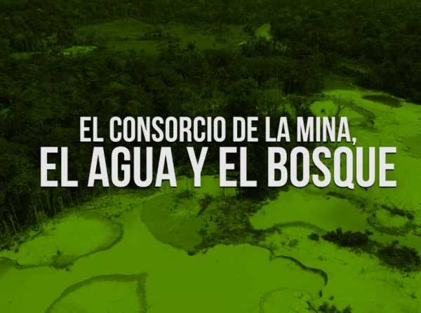 El consorcio de la mina, el agua y el bosque