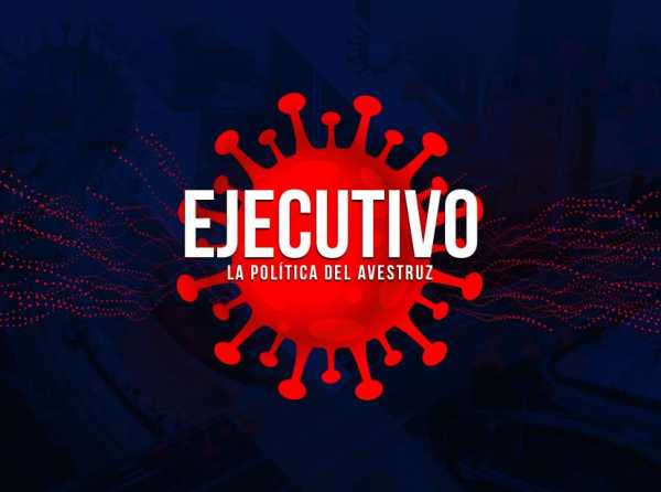 El Ejecutivo o la política del avestruz