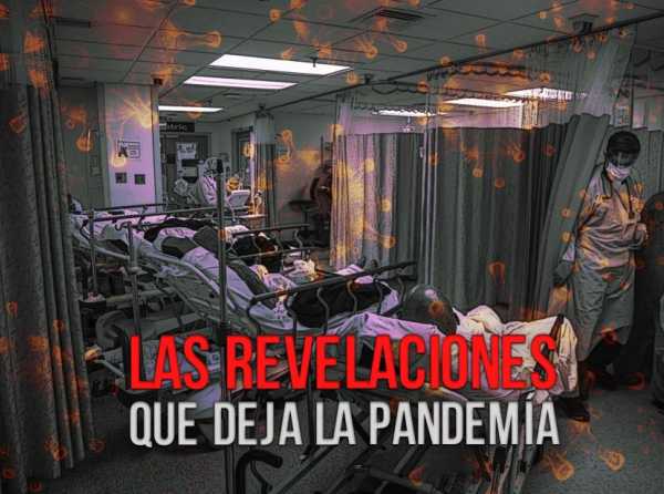 La pandemia daña y mata, pero también revela