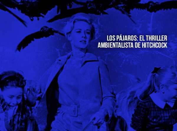 Los pájaros: el thriller ambientalista de Hitchcock