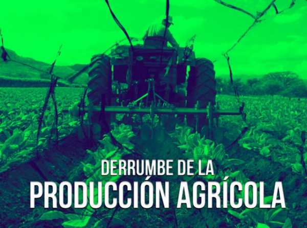 Derrumbe de la producción agrícola