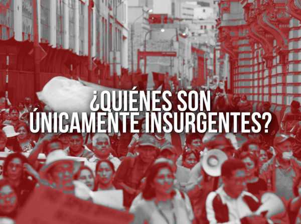 ¿Quiénes son únicamente insurgentes?