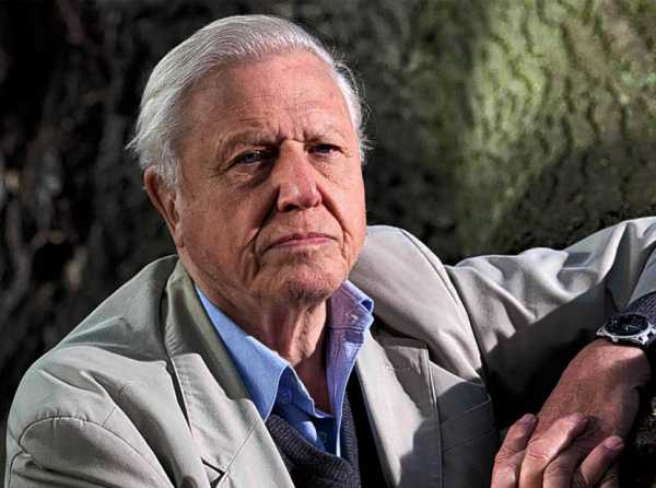 Solo hacía falta un hombre: David Attenborough