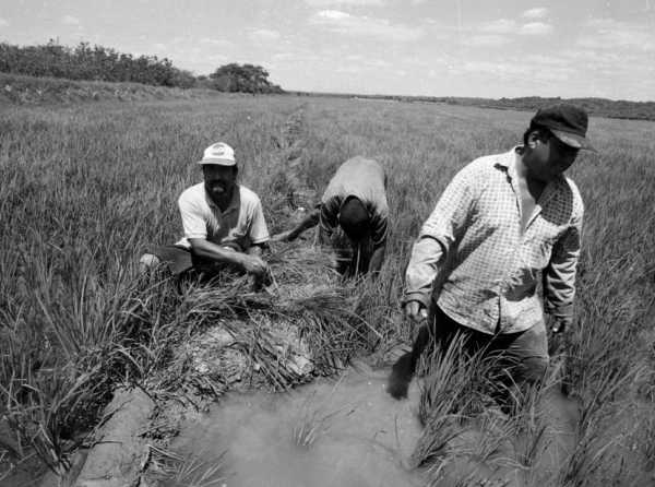 El Perú, una economía social de mercado