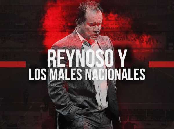 Reynoso y los males nacionales