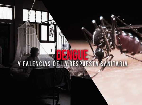 Dengue y falencias de la respuesta sanitaria