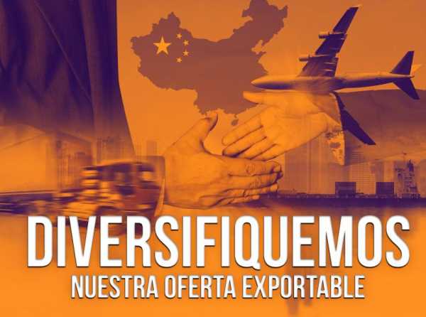 Diversifiquemos nuestra oferta exportable