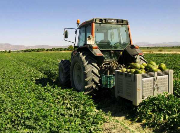 Gobernadores, ¡a promover inversiones en agricultura!