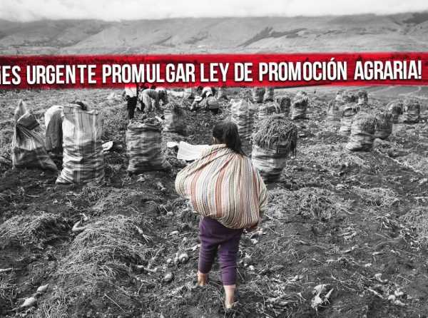 ¡Es urgente promulgar Ley de Promoción Agraria!