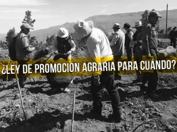 ¿Cuándo se promulga la Ley de Promoción Agraria?