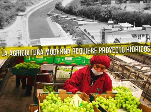 Exportaciones agrarias deben seguir creciendo