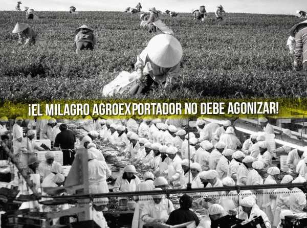 ¡El milagro agroexportador no debe agonizar!