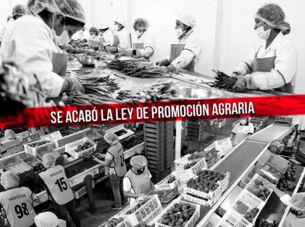 Crimen económico sin perdón: ¡derogatoria de Ley de Promoción Agraria!