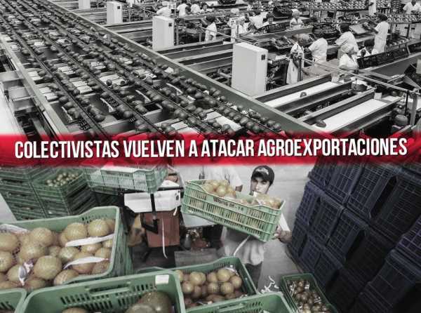 Colectivistas vuelven a atacar agroexportaciones