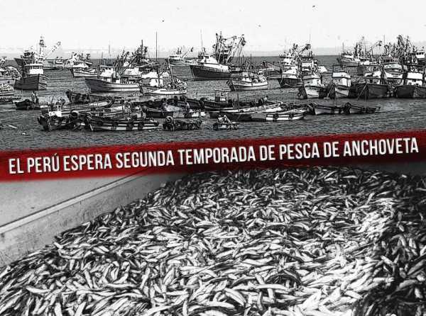 El Perú espera segunda temporada de pesca de anchoveta