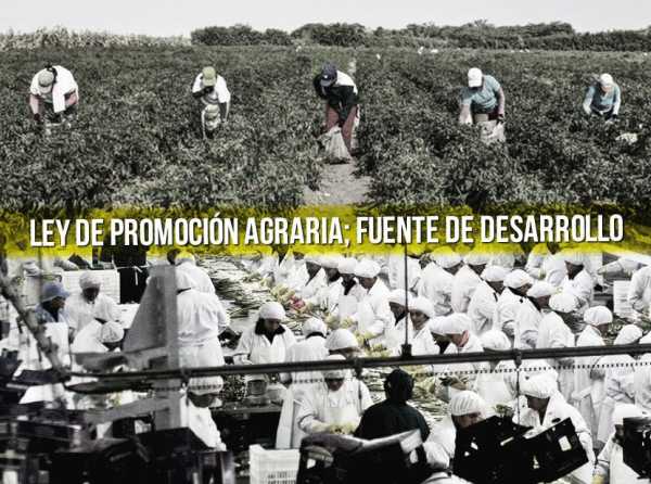 Ley de Promoción Agraria; fuente de desarrollo