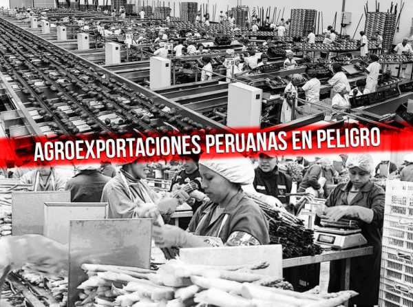 Agroexportaciones peruanas en peligro