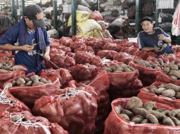 Estado no subsidiará a productores de papa