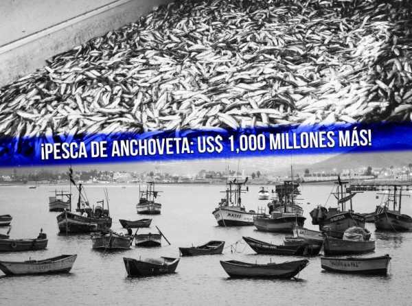 ¡Pesca de anchoveta: US$ 1,000 millones más!