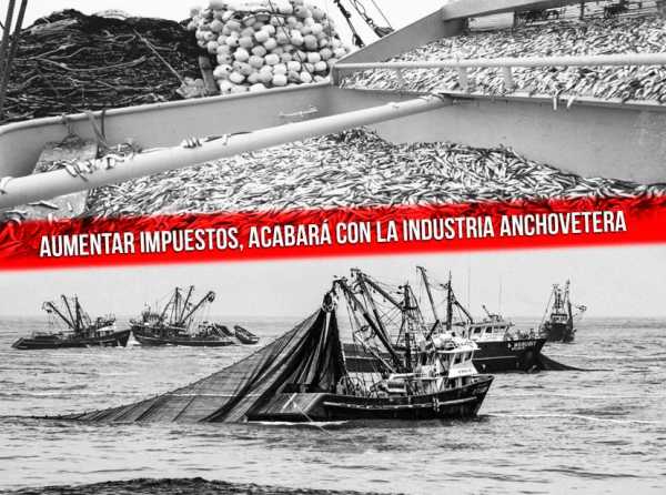 Aumentar impuestos, acabará con la industria anchovetera