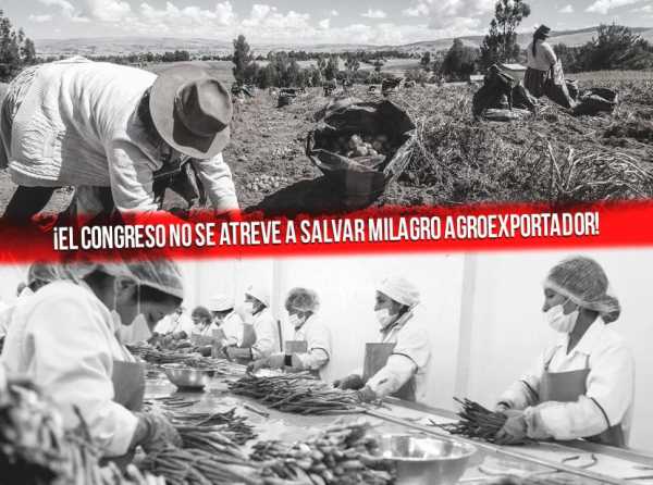 ¡El Congreso no se atreve a salvar milagro agroexportador!