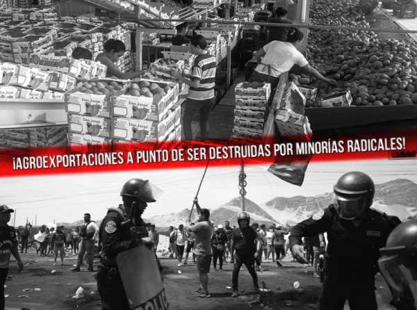 ¡Agroexportaciones a punto de ser destruidas por minorías radicales!