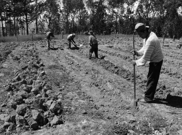 ¿Y la Ley de Promoción Agraria? ¿Qué pasa?