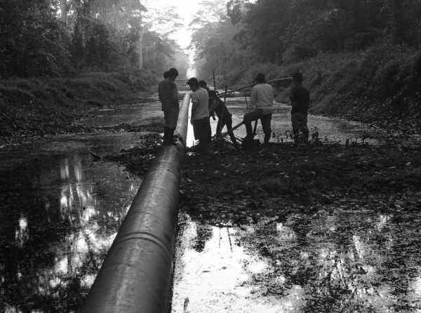 Sabotaje al petróleo en la selva amazónica