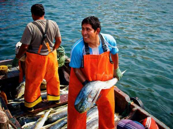 Pesca peruana con buen viento