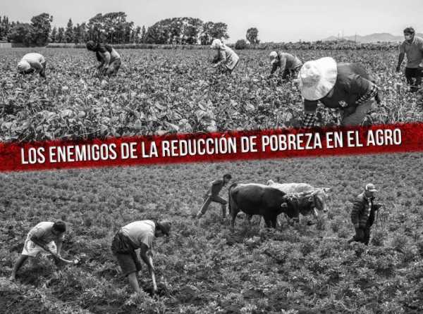 Los enemigos de la reducción de pobreza en el agro