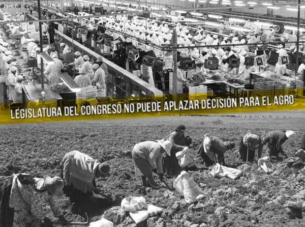 Cien mil nuevas hectáreas para agroexportaciones restableciendo vigencia de Ley de Promoción Agraria